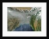 Haze and smog over Bangladesh and Northern India by Anonymous