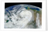 Satellite View of Hurricane Sandy by Anonymous