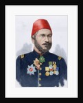 Muhammad Ali Pasha (b. 1829). General in chief of the Turkish army in Bulgaria by Anonymous