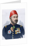 Muhammad Ali Pasha (b. 1829). General in chief of the Turkish army in Bulgaria by Anonymous