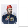 Muhammad Ali Pasha (b. 1829). General in chief of the Turkish army in Bulgaria by Anonymous