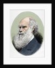 Darwin, Charles Robert (1809-1882) British naturalist. Colored engraving by Anonymous