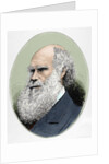 Darwin, Charles Robert (1809-1882) British naturalist. Colored engraving by Anonymous