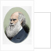 Darwin, Charles Robert (1809-1882) British naturalist. Colored engraving by Anonymous