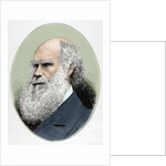 Darwin, Charles Robert (1809-1882) British naturalist. Colored engraving by Anonymous