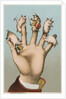 Five pigs on five fingers by Anonymous