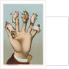 Five pigs on five fingers by Anonymous