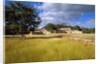 Rural scene with ruins of palace, Labna, Yucatan, Mexico by Anonymous