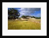 Rural scene with ruins of palace, Labna, Yucatan, Mexico by Anonymous