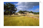 Rural scene with ruins of palace, Labna, Yucatan, Mexico by Anonymous
