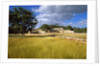 Rural scene with ruins of palace, Labna, Yucatan, Mexico by Anonymous