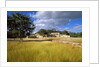 Rural scene with ruins of palace, Labna, Yucatan, Mexico by Anonymous