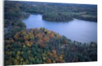 Aerial view of river and forest, Pittsfield, Massachusetts, USA by Anonymous