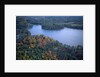 Aerial view of river and forest, Pittsfield, Massachusetts, USA by Anonymous