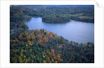 Aerial view of river and forest, Pittsfield, Massachusetts, USA by Anonymous