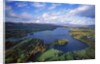 Aerial view of river and forest, Pittsfield, Massachusetts, USA by Anonymous