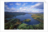 Aerial view of river and forest, Pittsfield, Massachusetts, USA by Anonymous