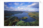 Aerial view of river and forest, Pittsfield, Massachusetts, USA by Anonymous