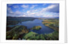 Aerial view of river and forest, Pittsfield, Massachusetts, USA by Anonymous