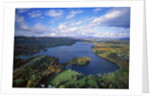 Aerial view of river and forest, Pittsfield, Massachusetts, USA by Anonymous