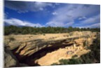 View of Cliff Palace, Mesa Verde National Park, Colorado, USA by Anonymous