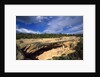 View of Cliff Palace, Mesa Verde National Park, Colorado, USA by Anonymous