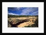 View of Cliff Palace, Mesa Verde National Park, Colorado, USA by Anonymous