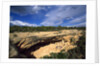 View of Cliff Palace, Mesa Verde National Park, Colorado, USA by Anonymous