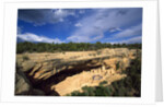 View of Cliff Palace, Mesa Verde National Park, Colorado, USA by Anonymous