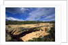View of Cliff Palace, Mesa Verde National Park, Colorado, USA by Anonymous