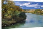 View of Animas River, New Mexico, USA by Anonymous