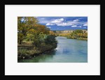 View of Animas River, New Mexico, USA by Anonymous