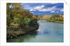 View of Animas River, New Mexico, USA by Anonymous
