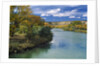 View of Animas River, New Mexico, USA by Anonymous