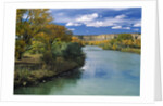 View of Animas River, New Mexico, USA by Anonymous