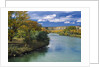 View of Animas River, New Mexico, USA by Anonymous