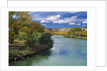 View of Animas River, New Mexico, USA by Anonymous