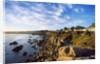 View of coastline, Pacific Grove, Monterey, California, USA by Anonymous