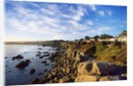 View of coastline, Pacific Grove, Monterey, California, USA by Anonymous