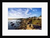 View of coastline, Pacific Grove, Monterey, California, USA by Anonymous