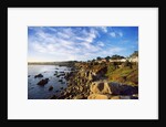 View of coastline, Pacific Grove, Monterey, California, USA by Anonymous