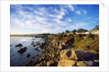 View of coastline, Pacific Grove, Monterey, California, USA by Anonymous