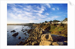 View of coastline, Pacific Grove, Monterey, California, USA by Anonymous