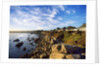 View of coastline, Pacific Grove, Monterey, California, USA by Anonymous