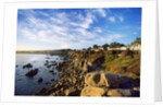 View of coastline, Pacific Grove, Monterey, California, USA by Anonymous