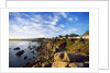View of coastline, Pacific Grove, Monterey, California, USA by Anonymous