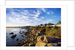 View of coastline, Pacific Grove, Monterey, California, USA by Anonymous
