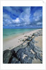 Beach, Turks and Caicos Islands, UK by Anonymous