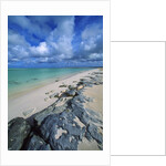 Beach, Turks and Caicos Islands, UK by Anonymous