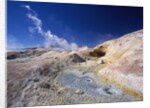 Volcanic area of Sol de Manana, Bolivian Desert, Bolivia by Anonymous